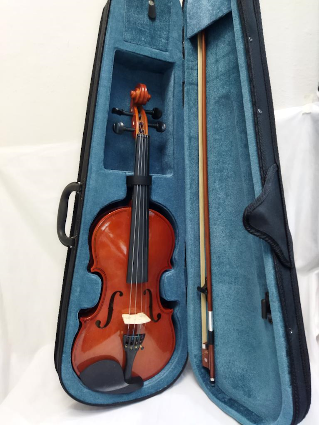 "artesanal" Instrumento Musical Estuche